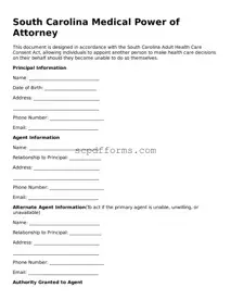 Attorney-Approved South Carolina Medical Power of Attorney Form