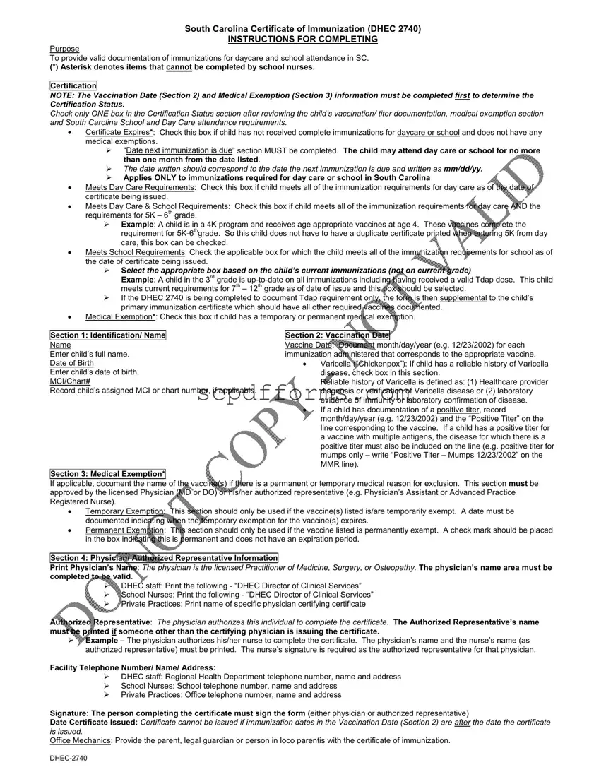 South Carolina Immunization Certificate PDF Template